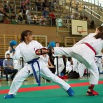 Wiener Karate Landesmeisterschaft 2014