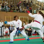 Wiener Karate Landesmeisterschaft 2014