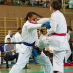 Wiener Karate Landesmeisterschaft 2014