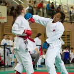 Wiener Karate Landesmeisterschaft 2014