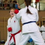 Wiener Karate Landesmeisterschaft 2014