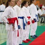 Wiener Karate Landesmeisterschaft 2014