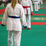 Wiener Karate Landesmeisterschaft 2014