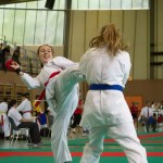 Wiener Karate Landesmeisterschaft 2014