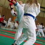 Wiener Karate Landesmeisterschaft 2014