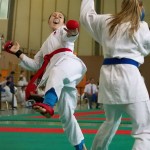 Wiener Karate Landesmeisterschaft 2014