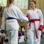 Wiener Karate Landesmeisterschaft 2014