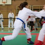 Wiener Karate Landesmeisterschaft 2014