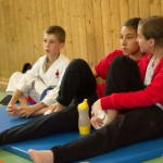 Wiener Karate Landesmeisterschaft 2014