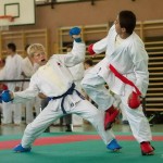 Wiener Karate Landesmeisterschaft 2014