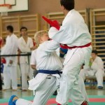 Wiener Karate Landesmeisterschaft 2014