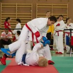 Wiener Karate Landesmeisterschaft 2014