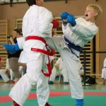 Wiener Karate Landesmeisterschaft 2014