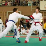 Wiener Karate Landesmeisterschaft 2014