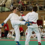 Wiener Karate Landesmeisterschaft 2014