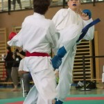 Wiener Karate Landesmeisterschaft 2014