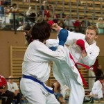 Wiener Karate Landesmeisterschaft 2014