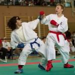 Wiener Karate Landesmeisterschaft 2014