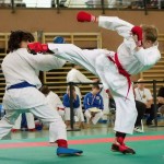 Wiener Karate Landesmeisterschaft 2014