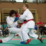 Wiener Karate Landesmeisterschaft 2014