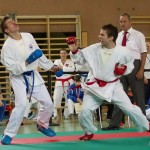 Wiener Karate Landesmeisterschaft 2014