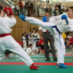 Wiener Karate Landesmeisterschaft 2014