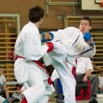 Wiener Karate Landesmeisterschaft 2014