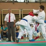 Wiener Karate Landesmeisterschaft 2014