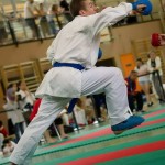 Wiener Karate Landesmeisterschaft 2014