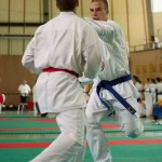 Wiener Karate Landesmeisterschaft 2014