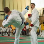 Wiener Karate Landesmeisterschaft 2014