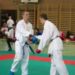 Wiener Karate Landesmeisterschaft 2014