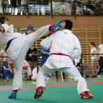 Wiener Karate Landesmeisterschaft 2014