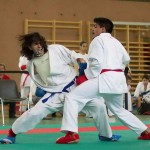 Wiener Karate Landesmeisterschaft 2014