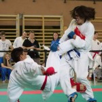 Wiener Karate Landesmeisterschaft 2014