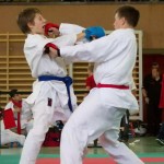 Wiener Karate Landesmeisterschaft 2014