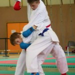 Wiener Karate Landesmeisterschaft 2014