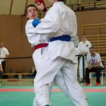 Wiener Karate Landesmeisterschaft 2014