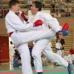 Wiener Karate Landesmeisterschaft 2014