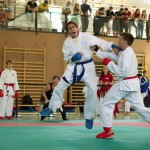 Wiener Karate Landesmeisterschaft 2014