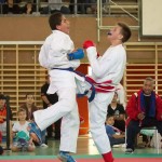 Wiener Karate Landesmeisterschaft 2014