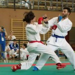 Wiener Karate Landesmeisterschaft 2014