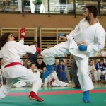 Wiener Karate Landesmeisterschaft 2014