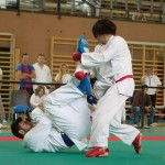 Wiener Karate Landesmeisterschaft 2014