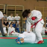 Wiener Karate Landesmeisterschaft 2014