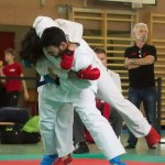 Wiener Karate Landesmeisterschaft 2014