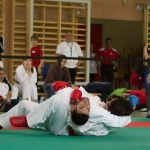 Wiener Karate Landesmeisterschaft 2014