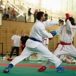 Wiener Karate Landesmeisterschaft 2014