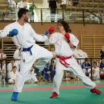 Wiener Karate Landesmeisterschaft 2014