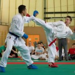 Wiener Karate Landesmeisterschaft 2014